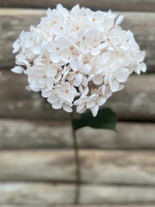 Konstblomma Hortensia Vit/beige