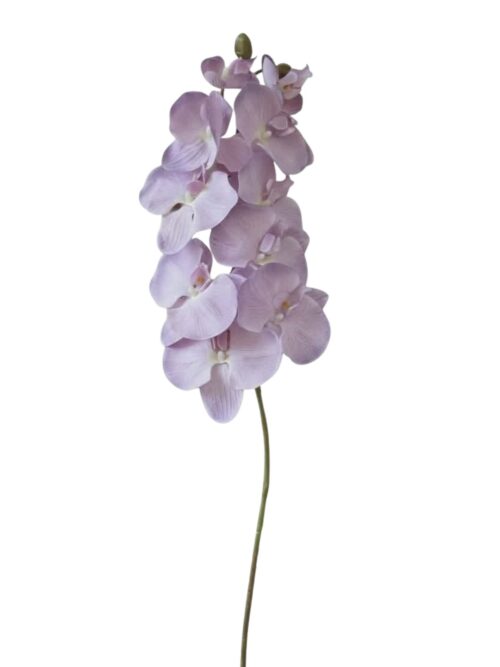 Konstväxt Orkidé ljuslila