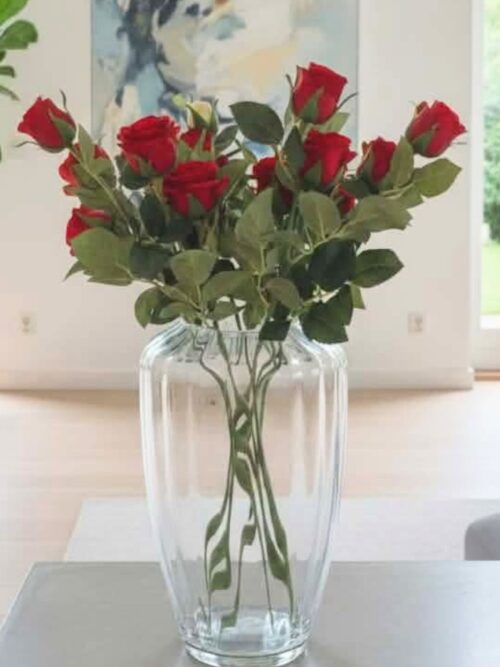 konstväxt kvist Ros röd