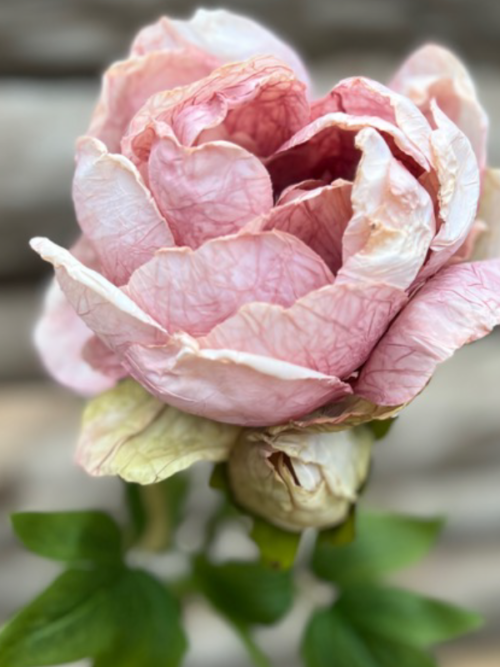 Konstblomma Pion Pink