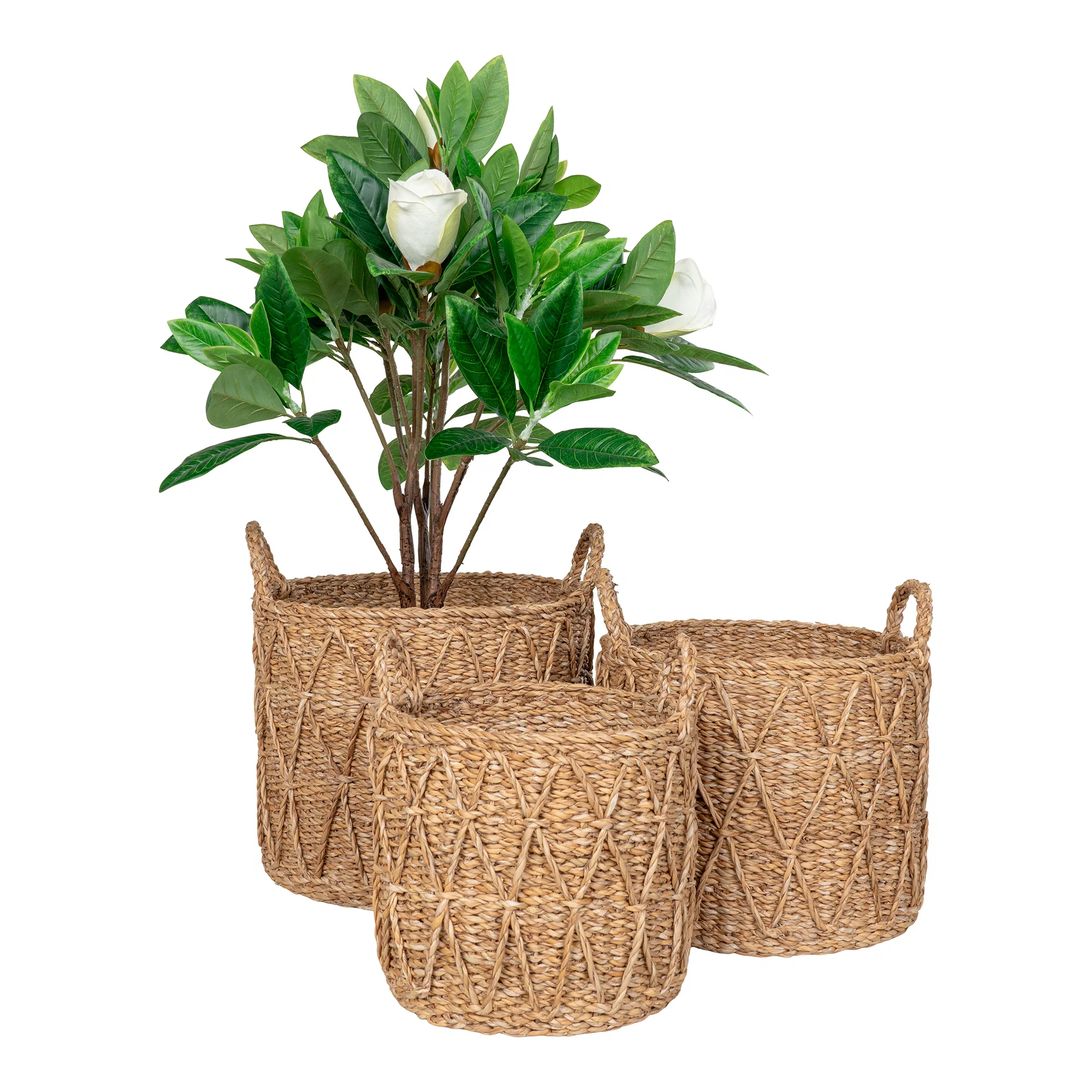 Korgar Krabi set/3