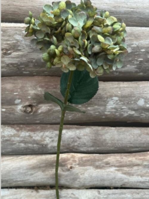 Konstblomma Hortensia Grön